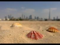 Приложението Nokia Refocus за всички телефони Lumia с Windows Phone 8