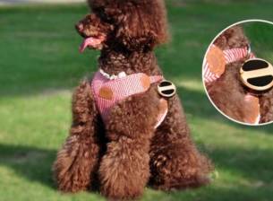 Внимавайте с евтините GPS проследяващи устройства за кучета и хора