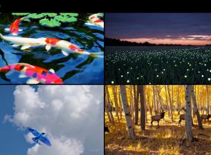 OpenAI планира да пусне този революционен инструмент в ChatGPT