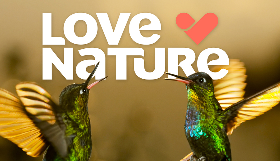 Vivacom добавя нов HD канал в EON 