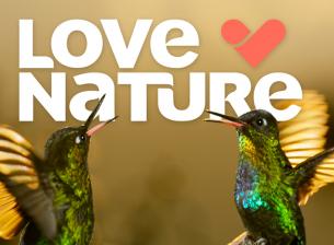 Vivacom добавя нов HD канал в EON 