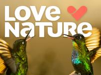 Vivacom добавя нов HD канал в EON 