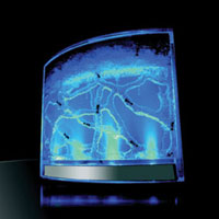 Коледна Prima 4Kids с ферма за мравки