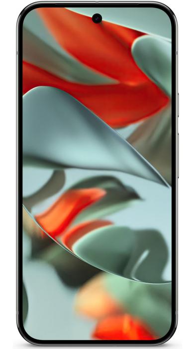 Google Pixel 9 Pro XL